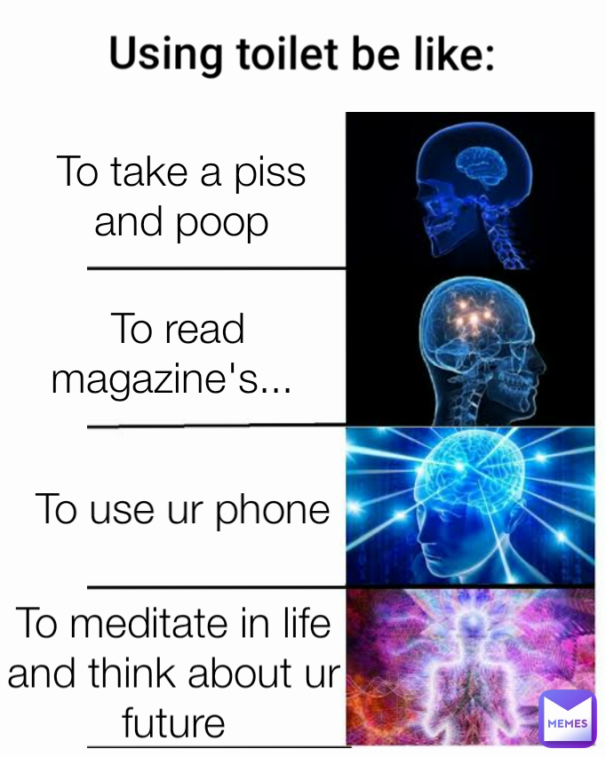 Using toilet be like: To take a piss and poop Type Text To read magazine's...  To use ur phone To meditate in life and think about ur future