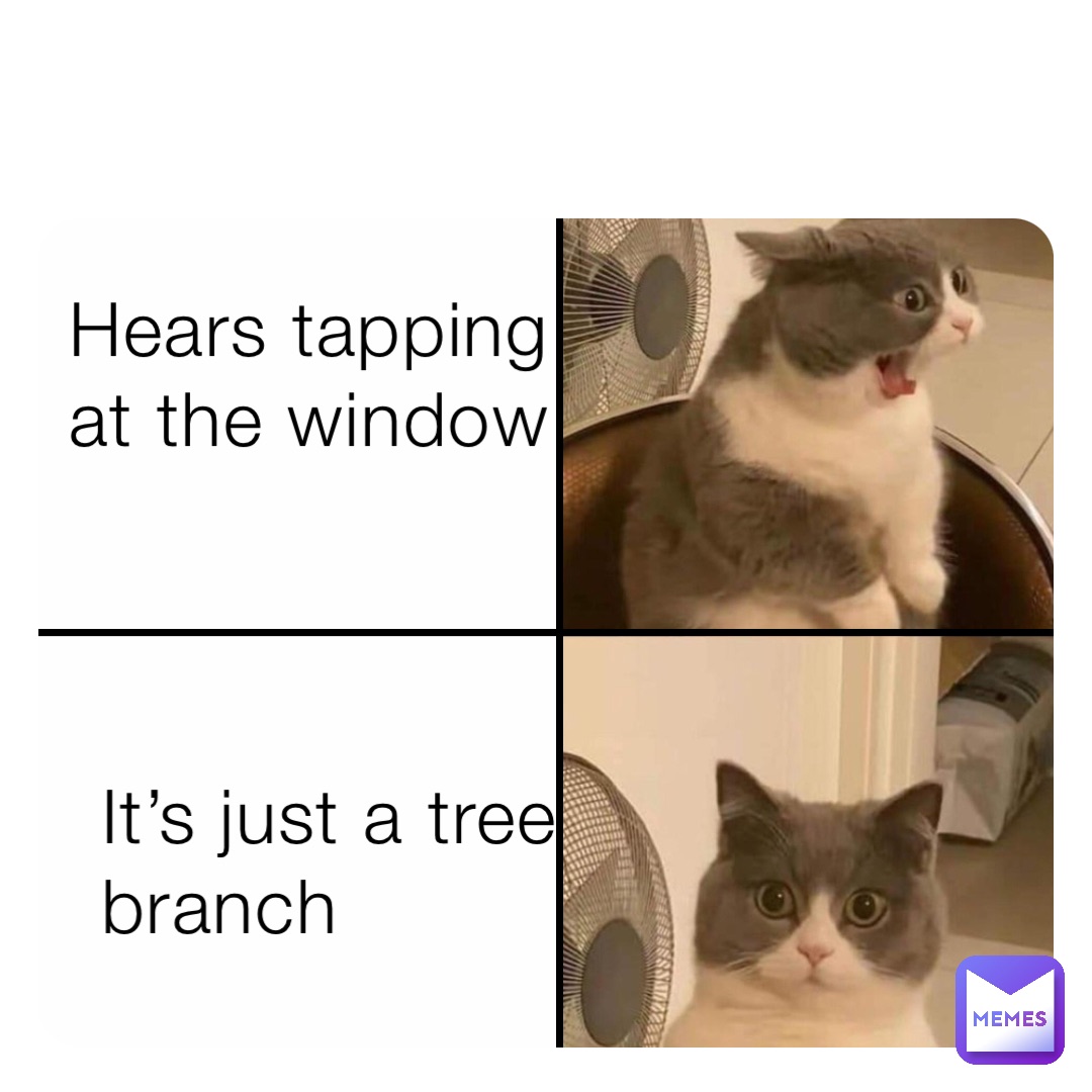 Hears tapping at the window It’s just a tree branch