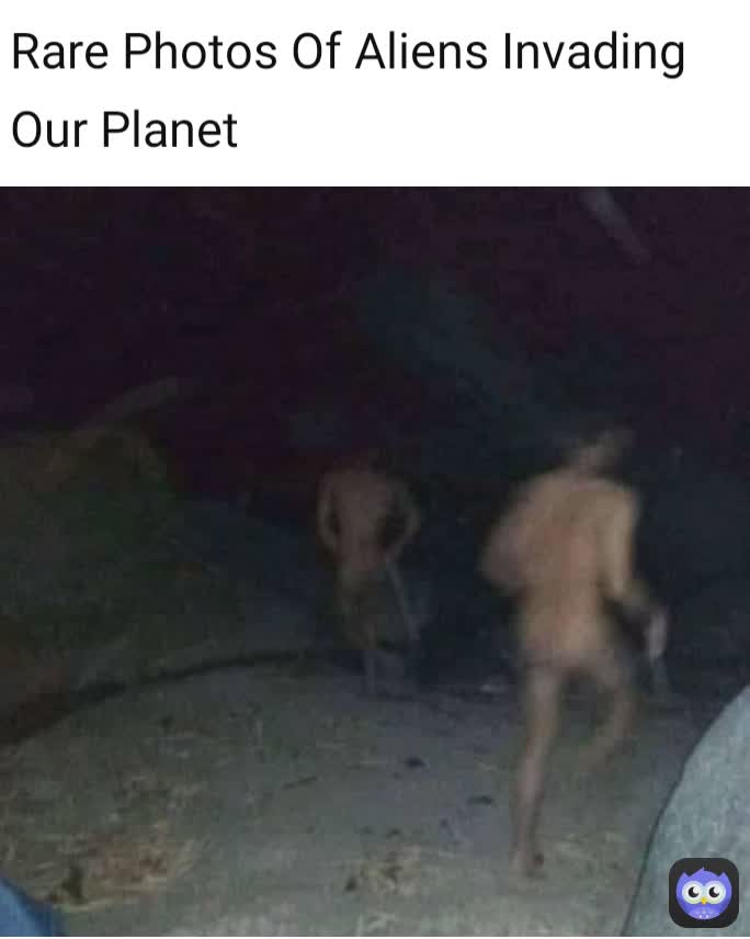 Rare Photos Of Aliens Invading Our Planet