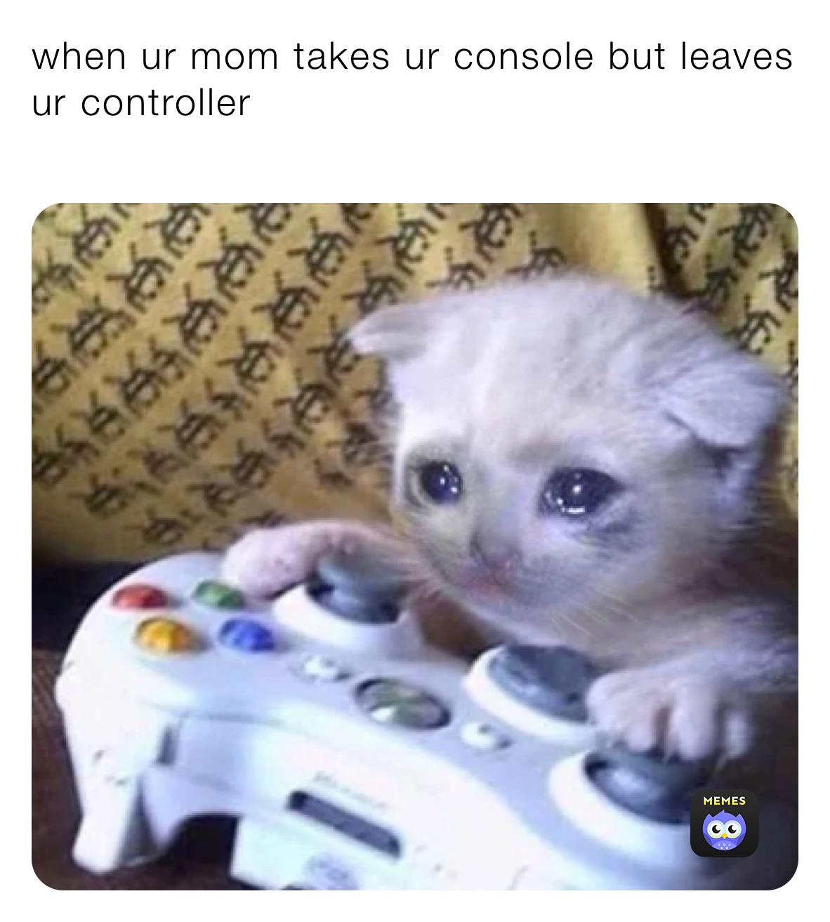 when ur mom takes ur console but leaves ur controller
