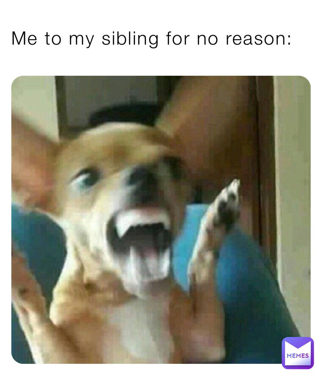 Me to my sibling for no reason: