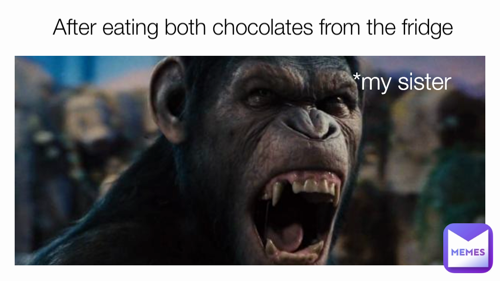 *my sister After eating both chocolates from the fridge