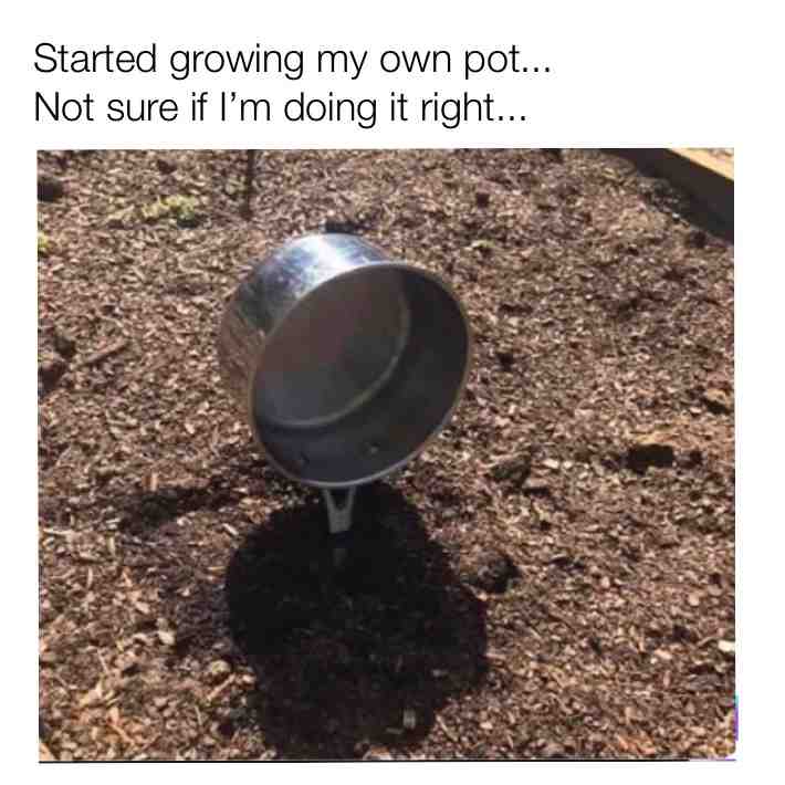 #original #weed #weedmemes #yeet #dankmemes #memes #ifollowback