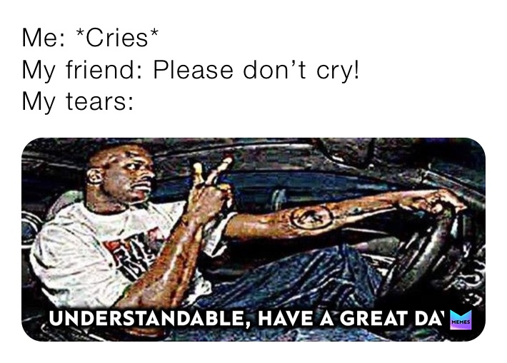 Me: *Cries*
My friend: Please don’t cry!
My tears: