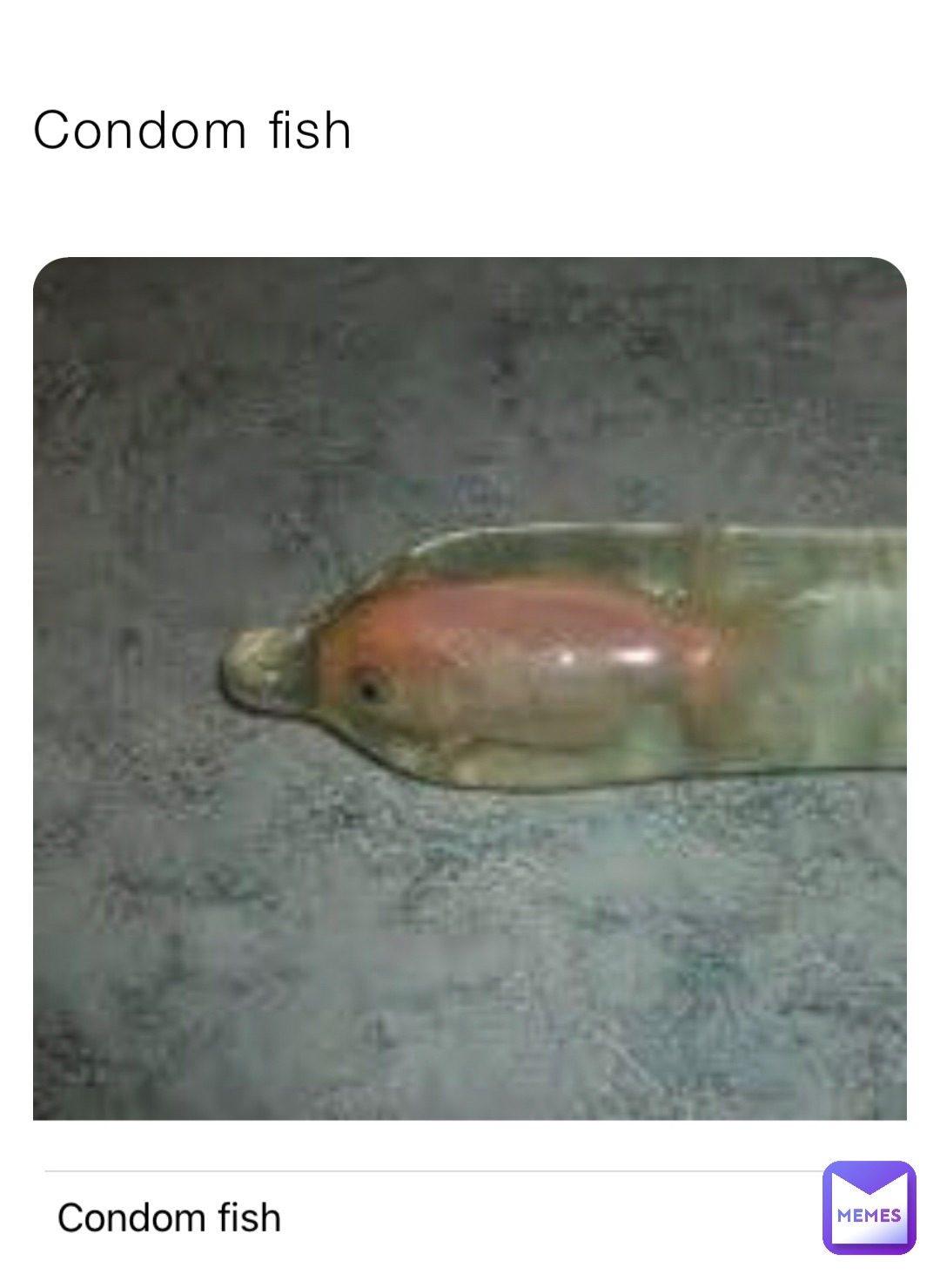 Condom fish