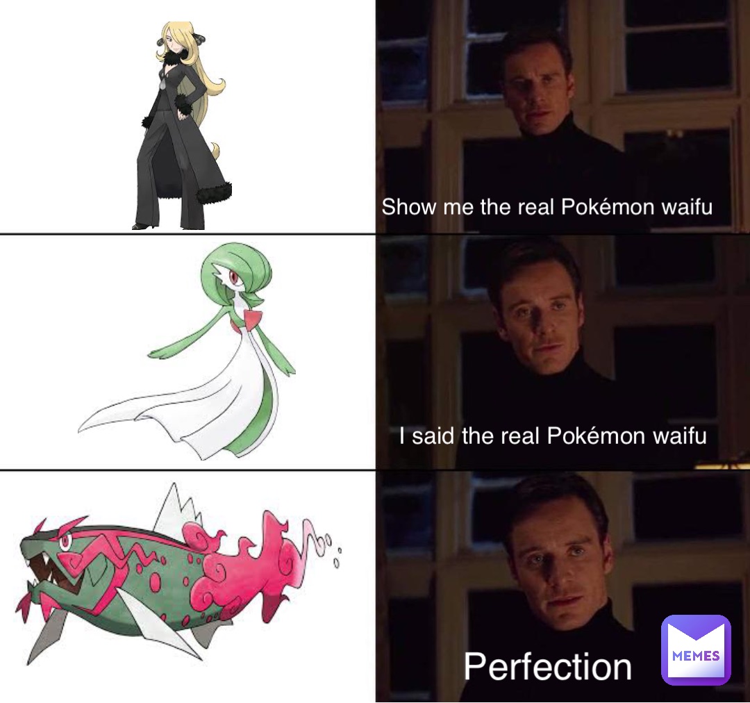 Show me the real Pokémon waifu I said the real Pokémon waifu Perfection