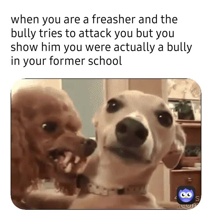 Meme shared by @funny_egg