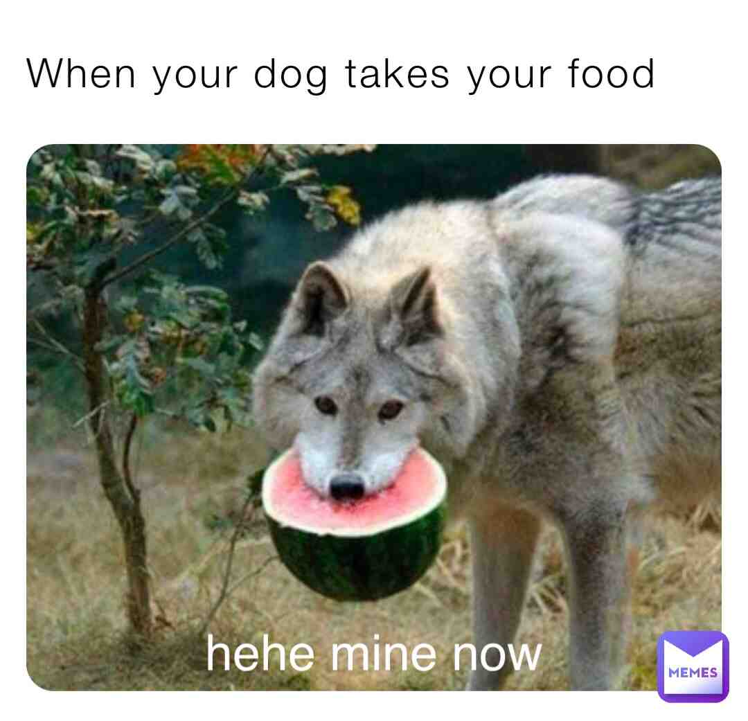 Meme shared by @vinniebug17