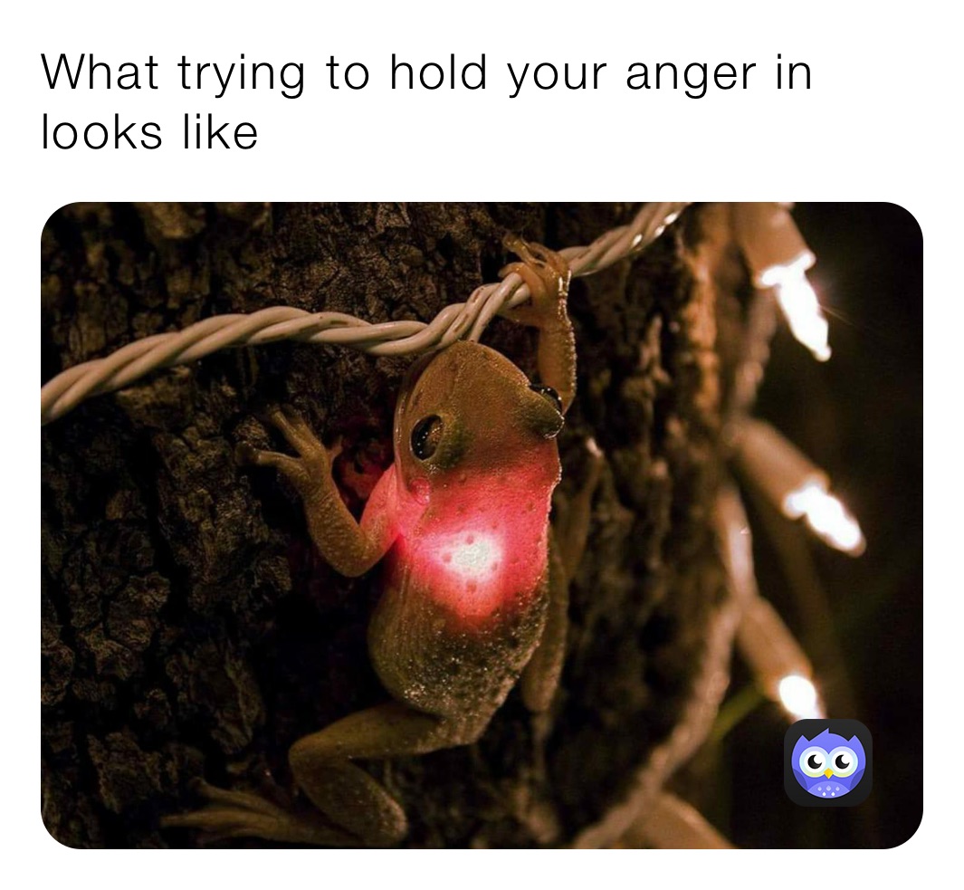 What trying to hold your anger in looks like