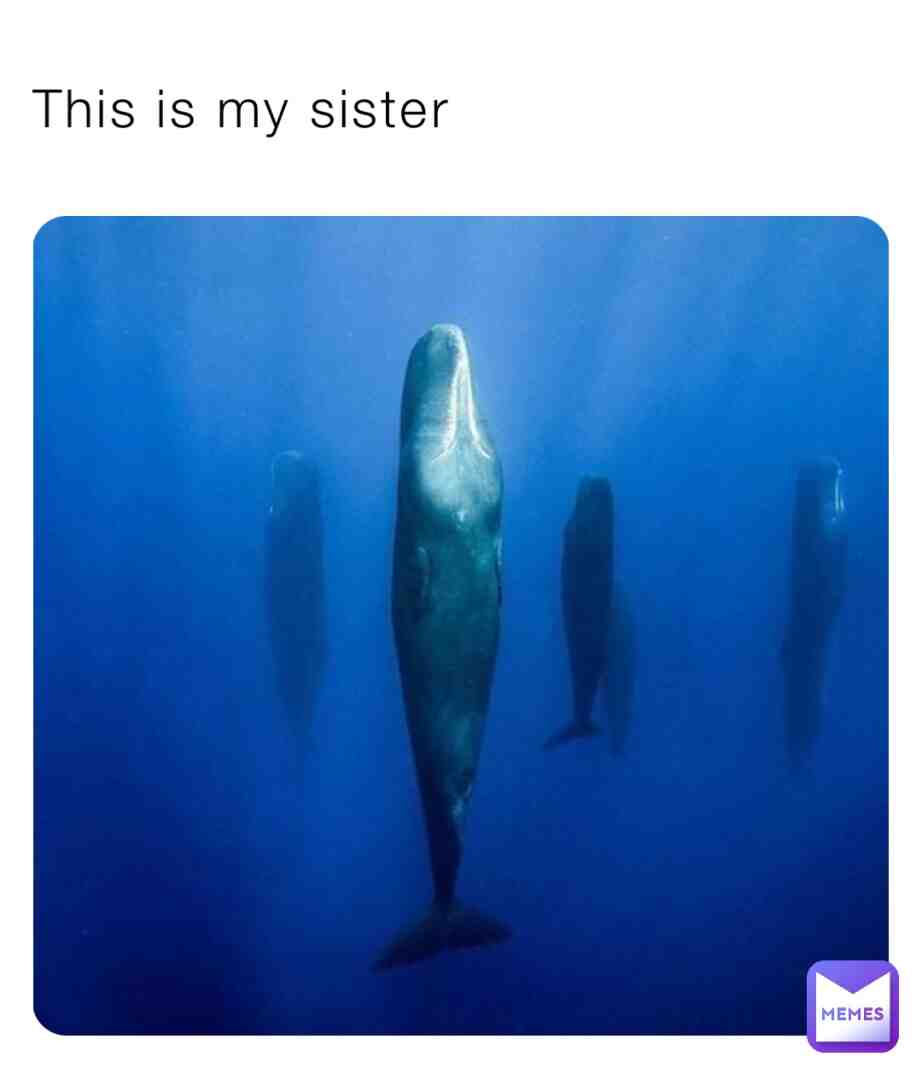Meme shared by @cheefee