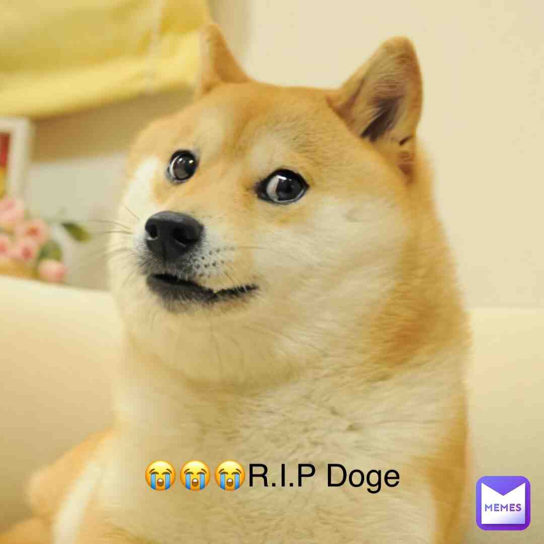Meme preview