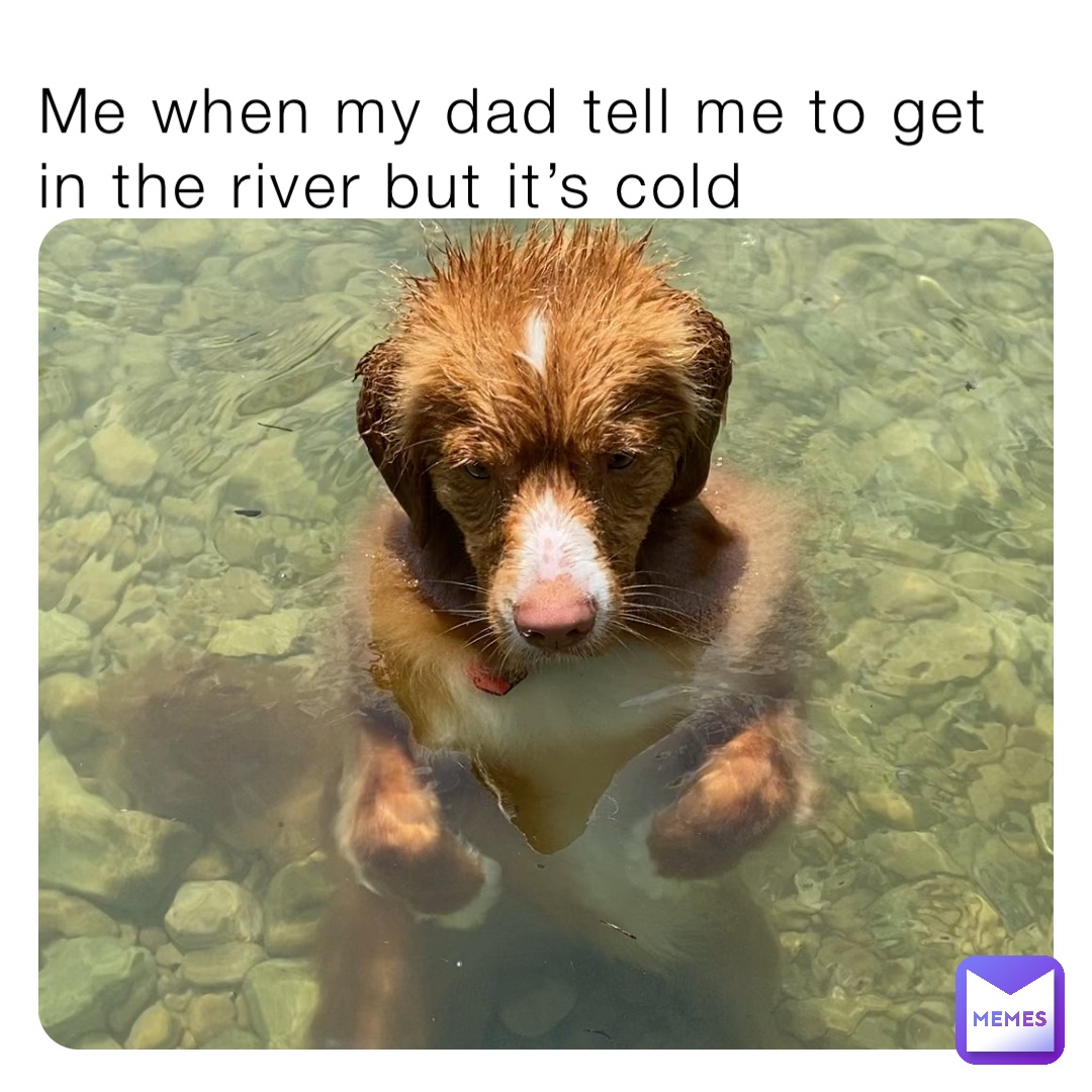 Me when my dad tell me to get in the river but it’s cold