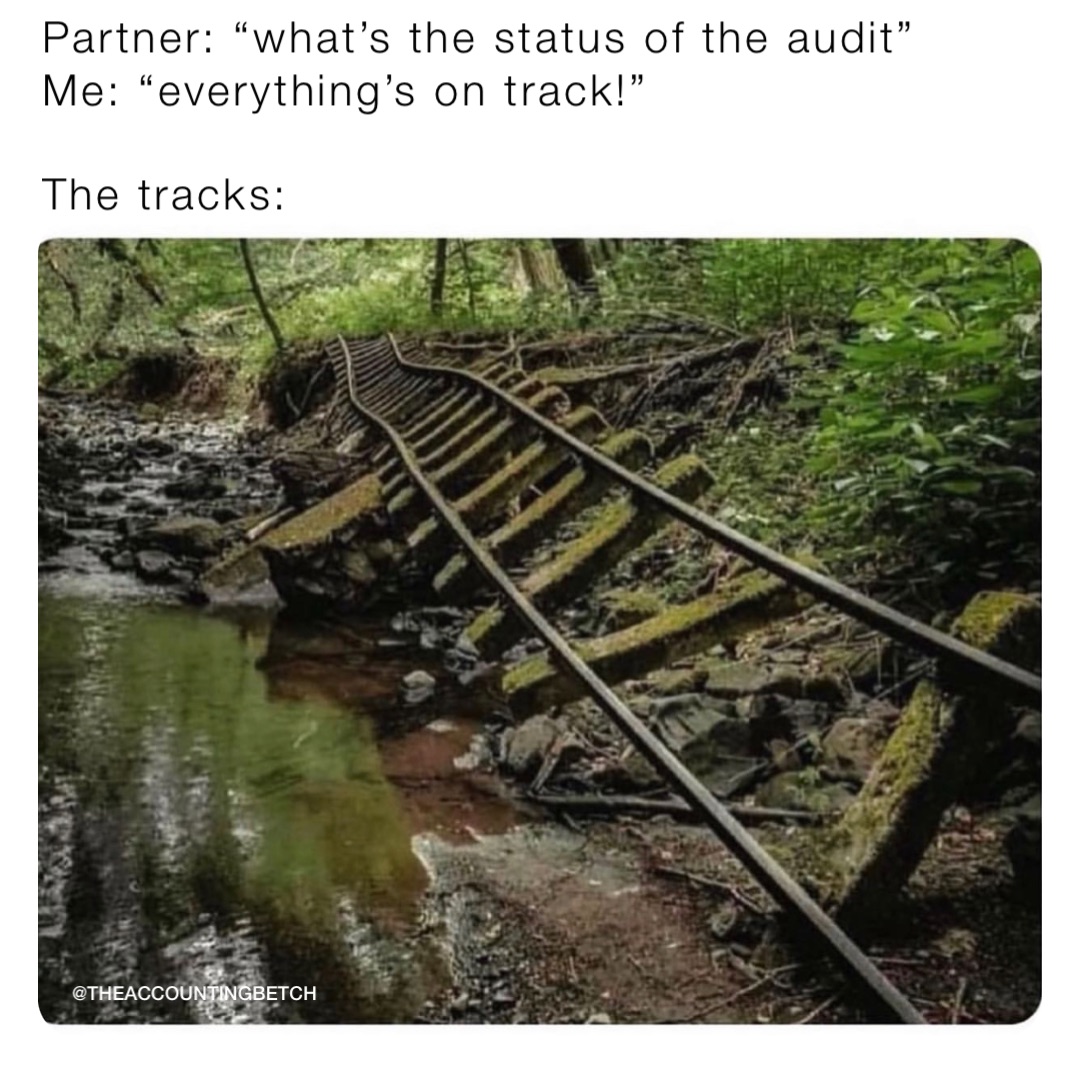 Partner: “what’s the status of the audit”
Me: “everything’s on track!”

The tracks: