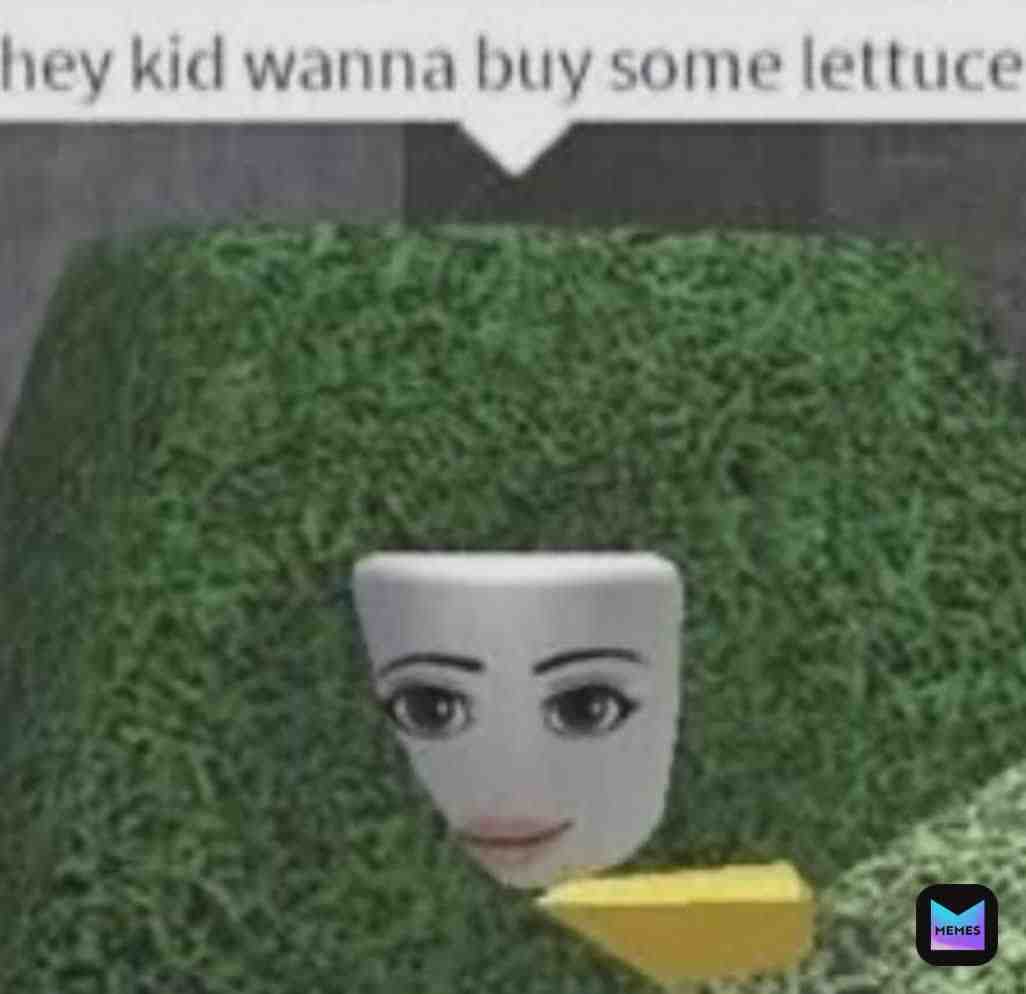 Meme preview