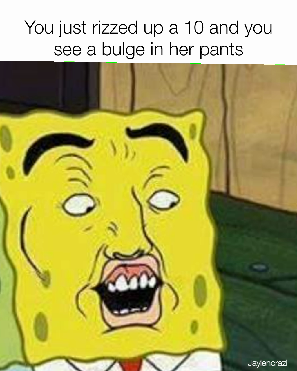 Jaylencrazi You just rizzed up a 10 and you see a bulge in her pants ...