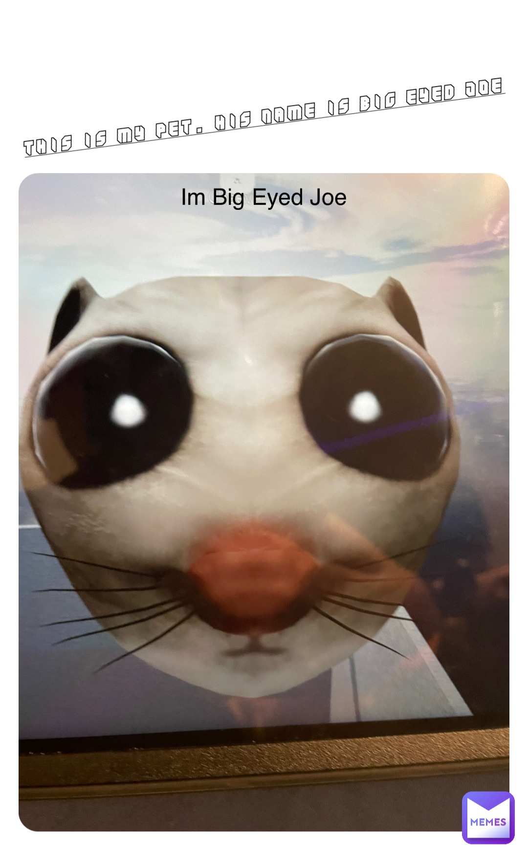 This is my pet. His name is Big Eyed Joe Im Big Eyed Joe