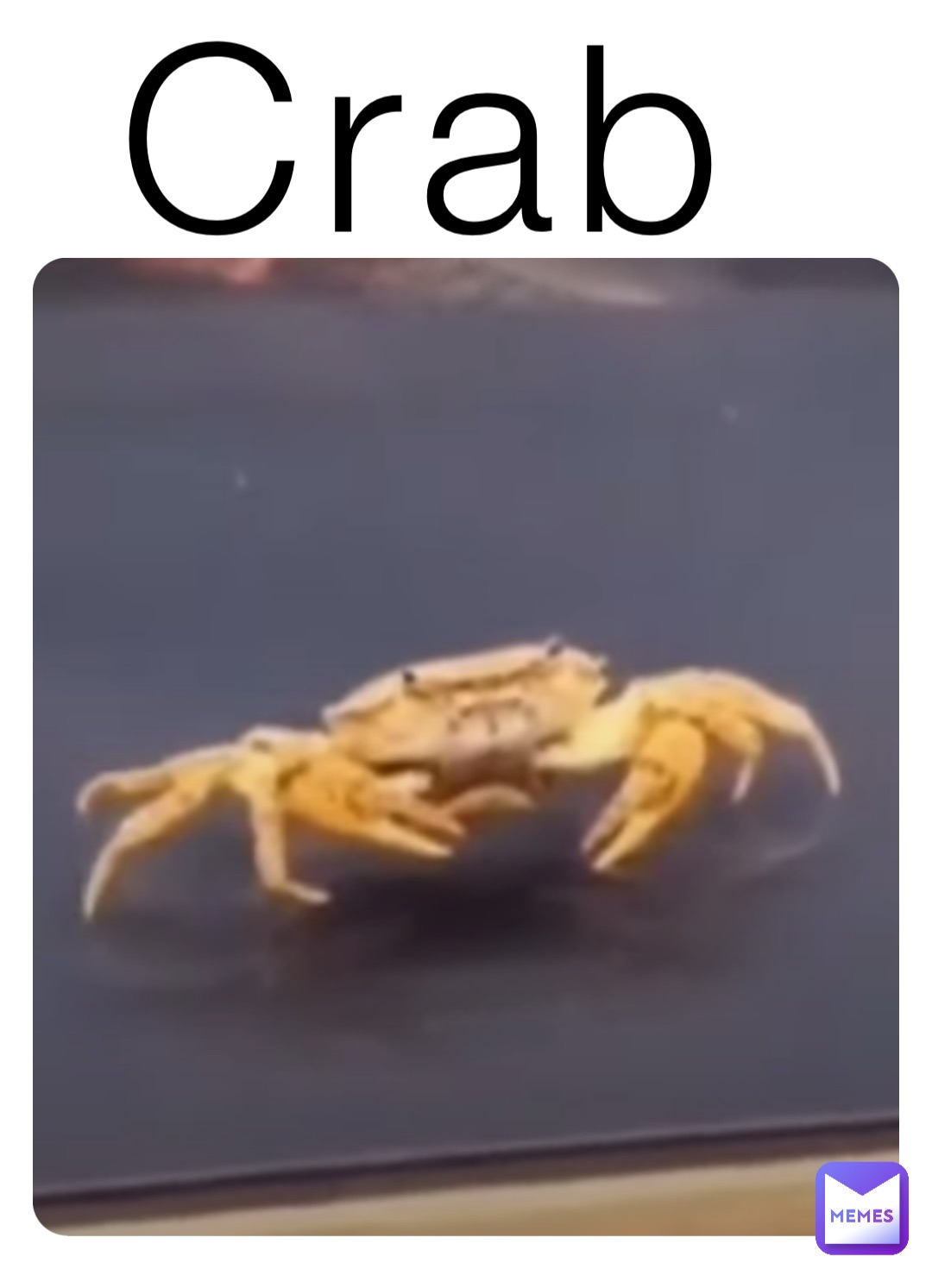 Crab