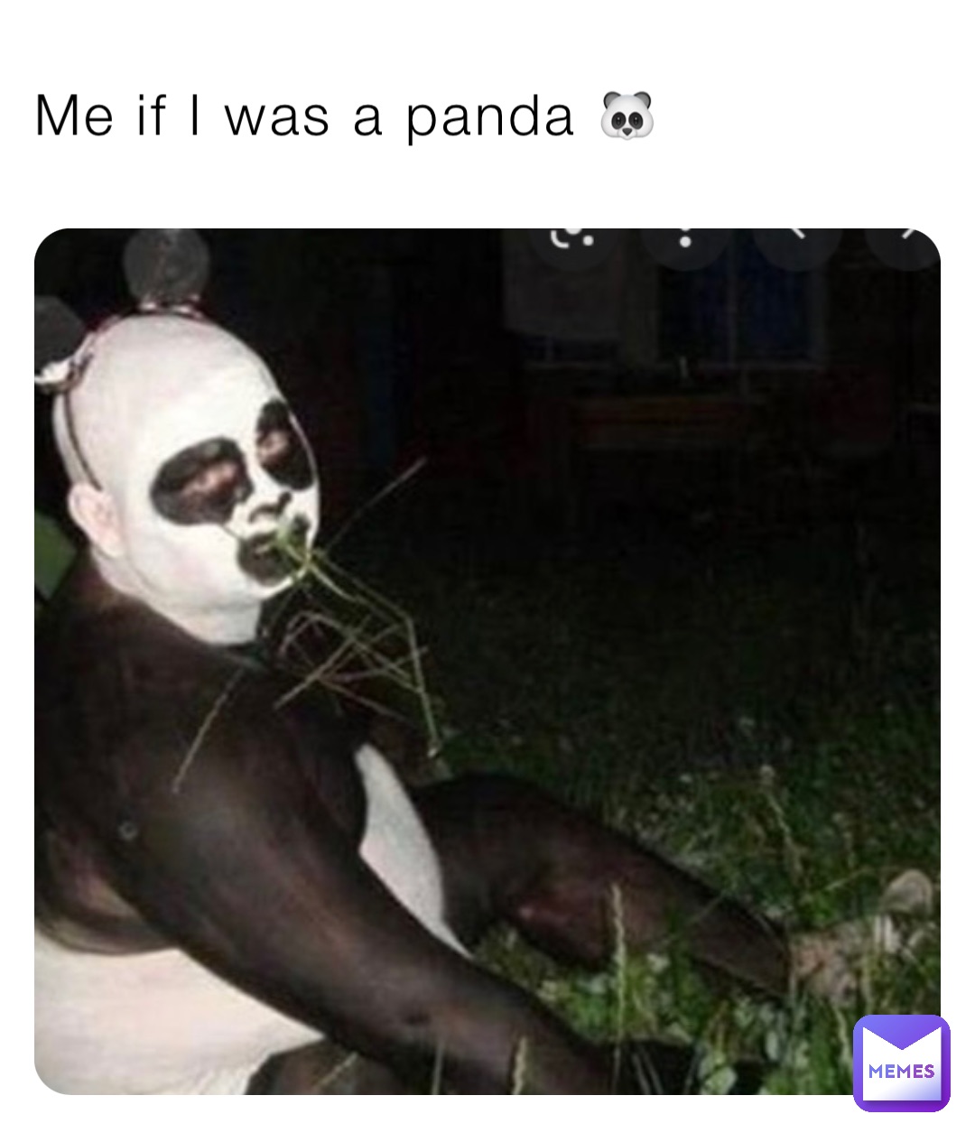 Me if I was a panda 🐼