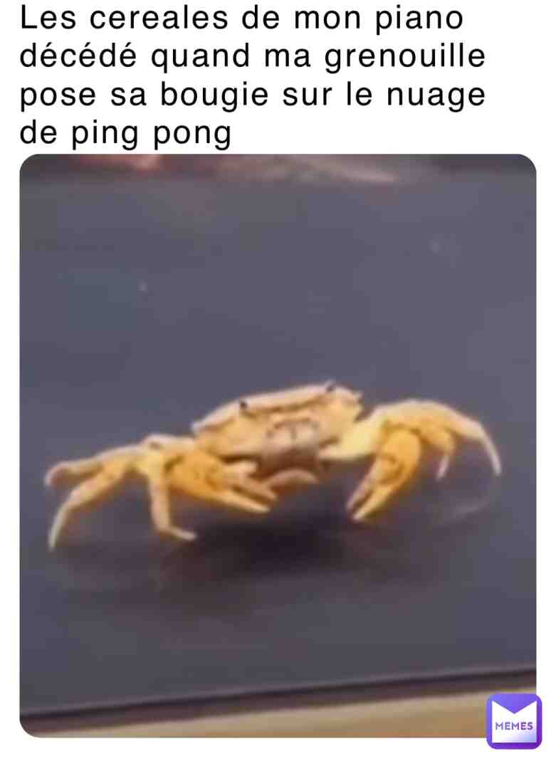 Gingembre n2