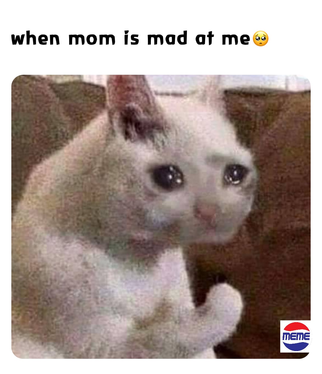 when-my-mom-is-mad-at-me-memes