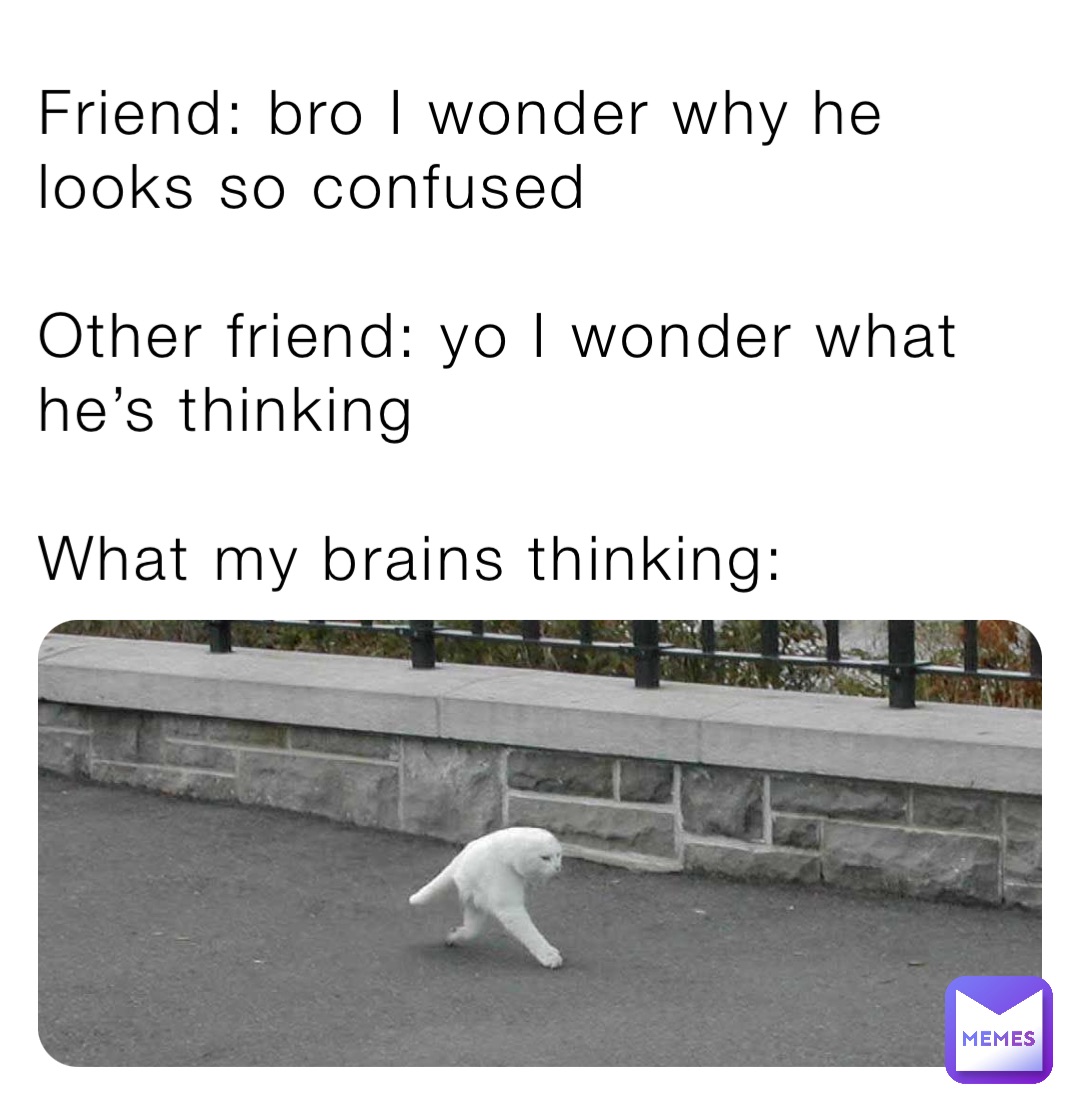 Friend: bro I wonder why he looks so confused

Other friend: yo I wonder what he’s thinking

What my brains thinking: