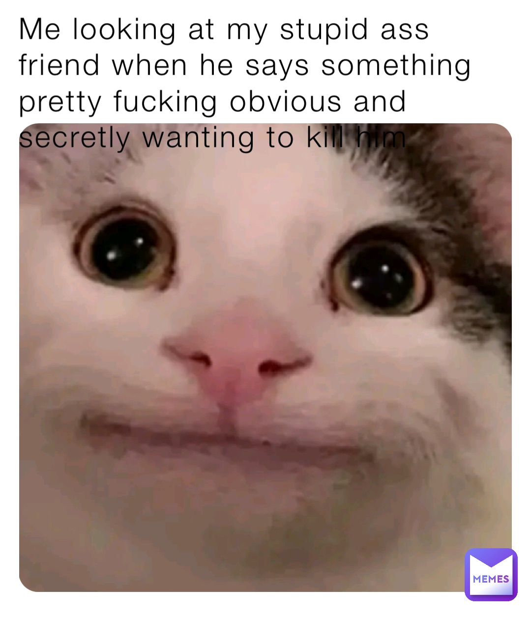 Me looking at my stupid ass friend when he says something pretty fucking obvious and secretly wanting to kill him