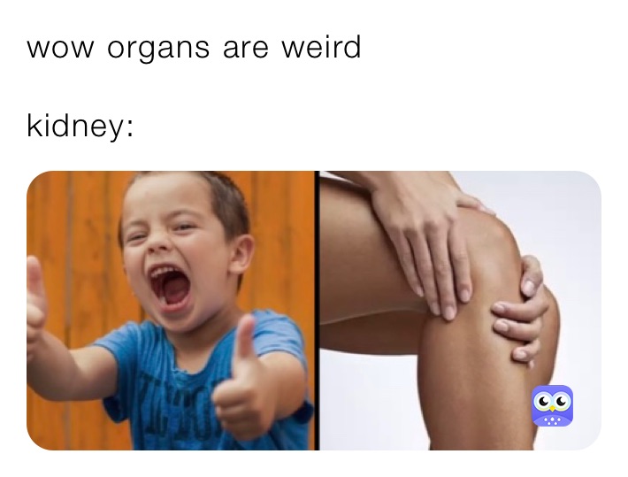 wow organs are weird

kidney: