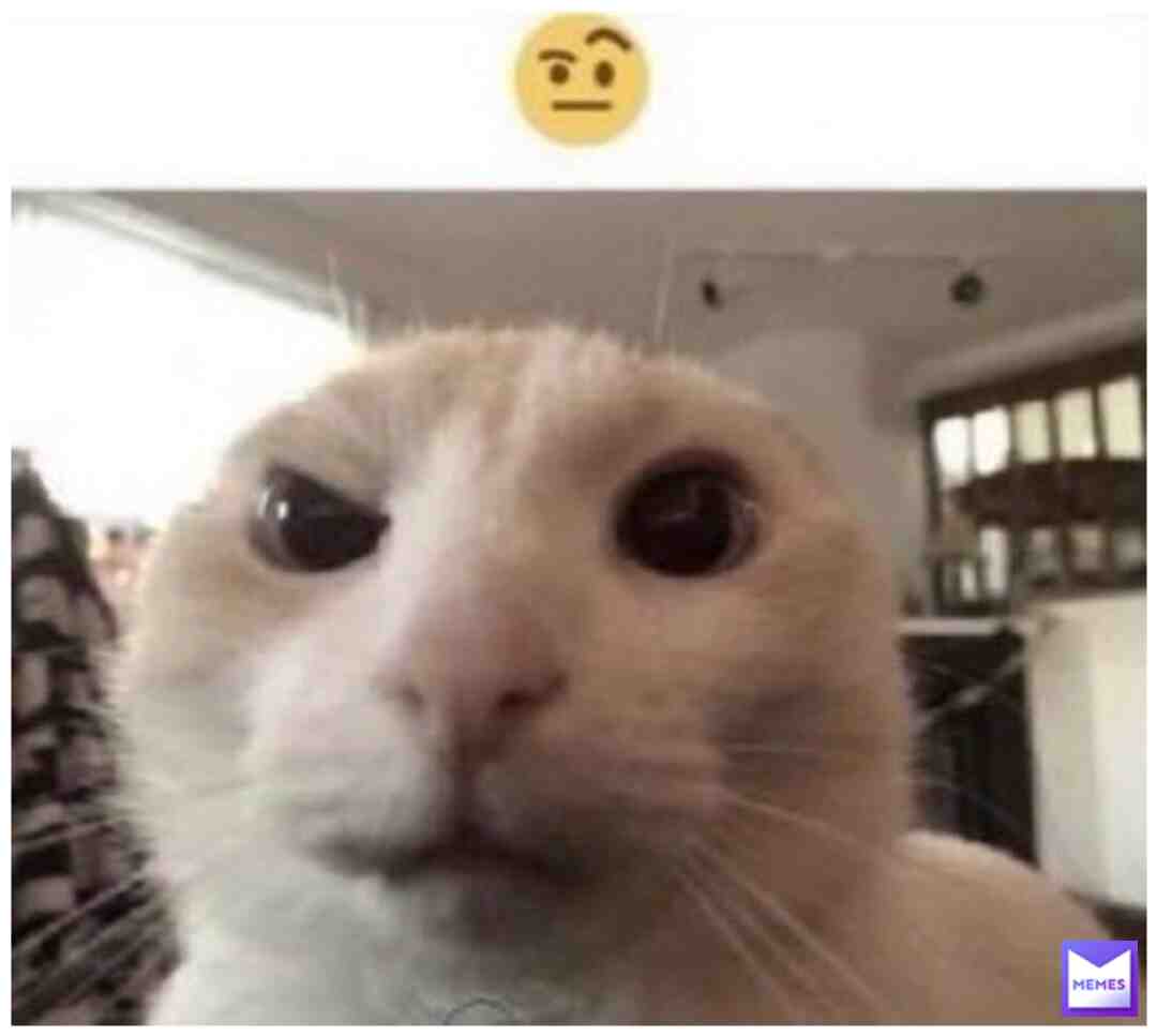 #🤨