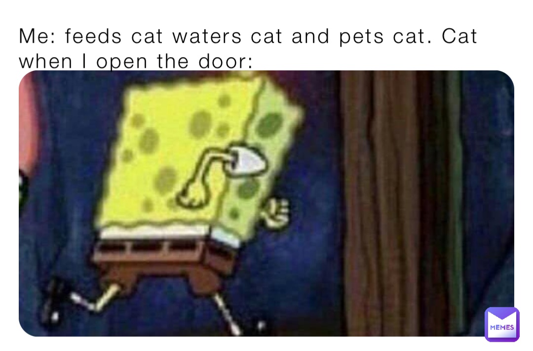 Me: feeds cat waters cat and pets cat. Cat when I open the door: