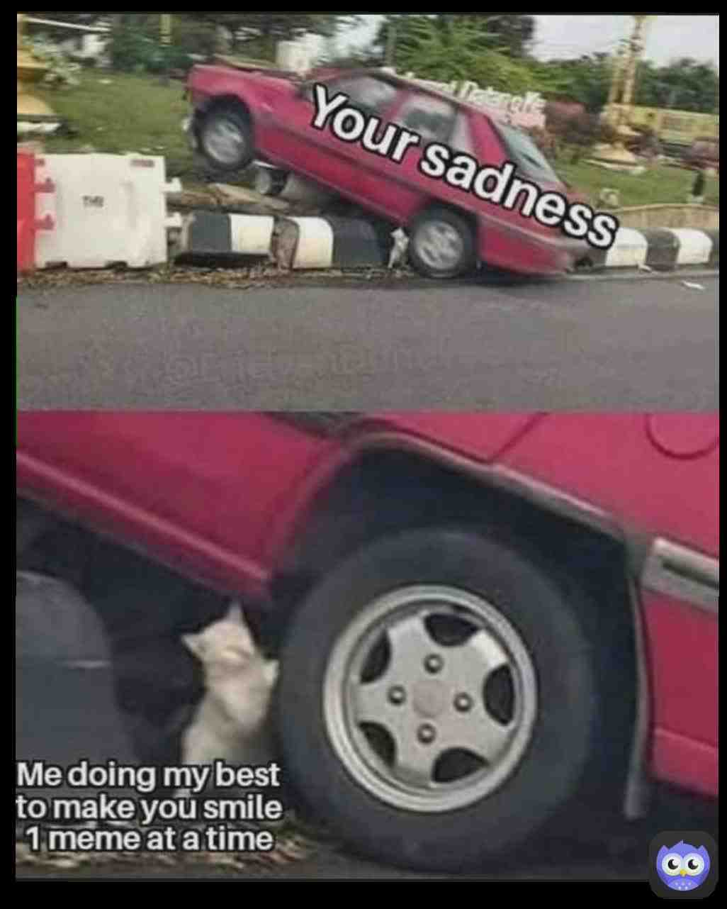 Meme shared by @d_express