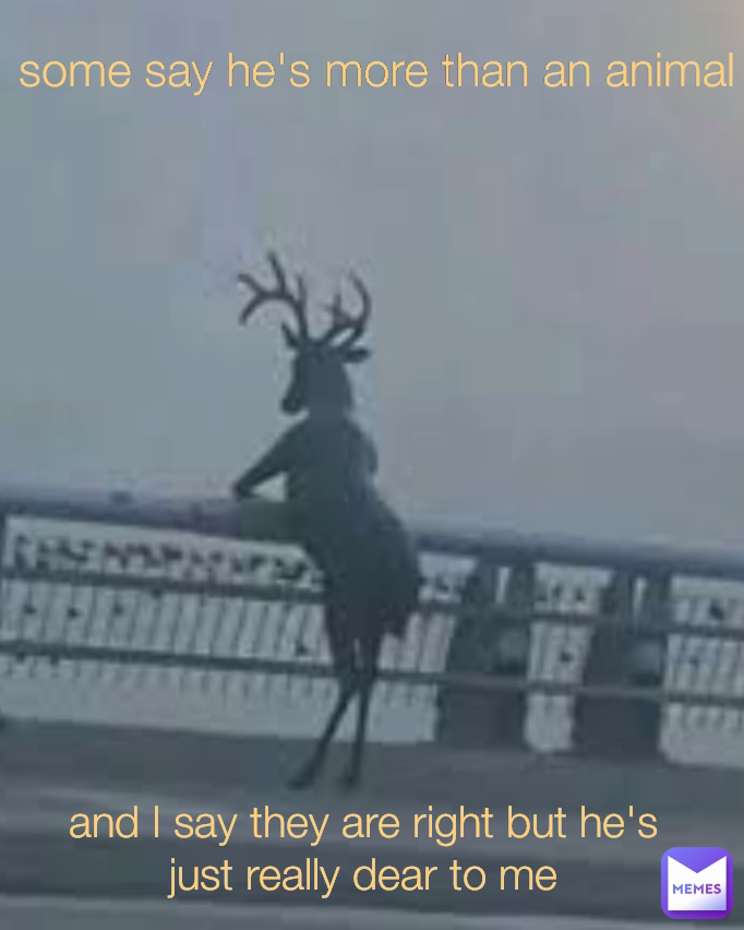 and I say they are right but he's just really dear to me some say he's more than an animal