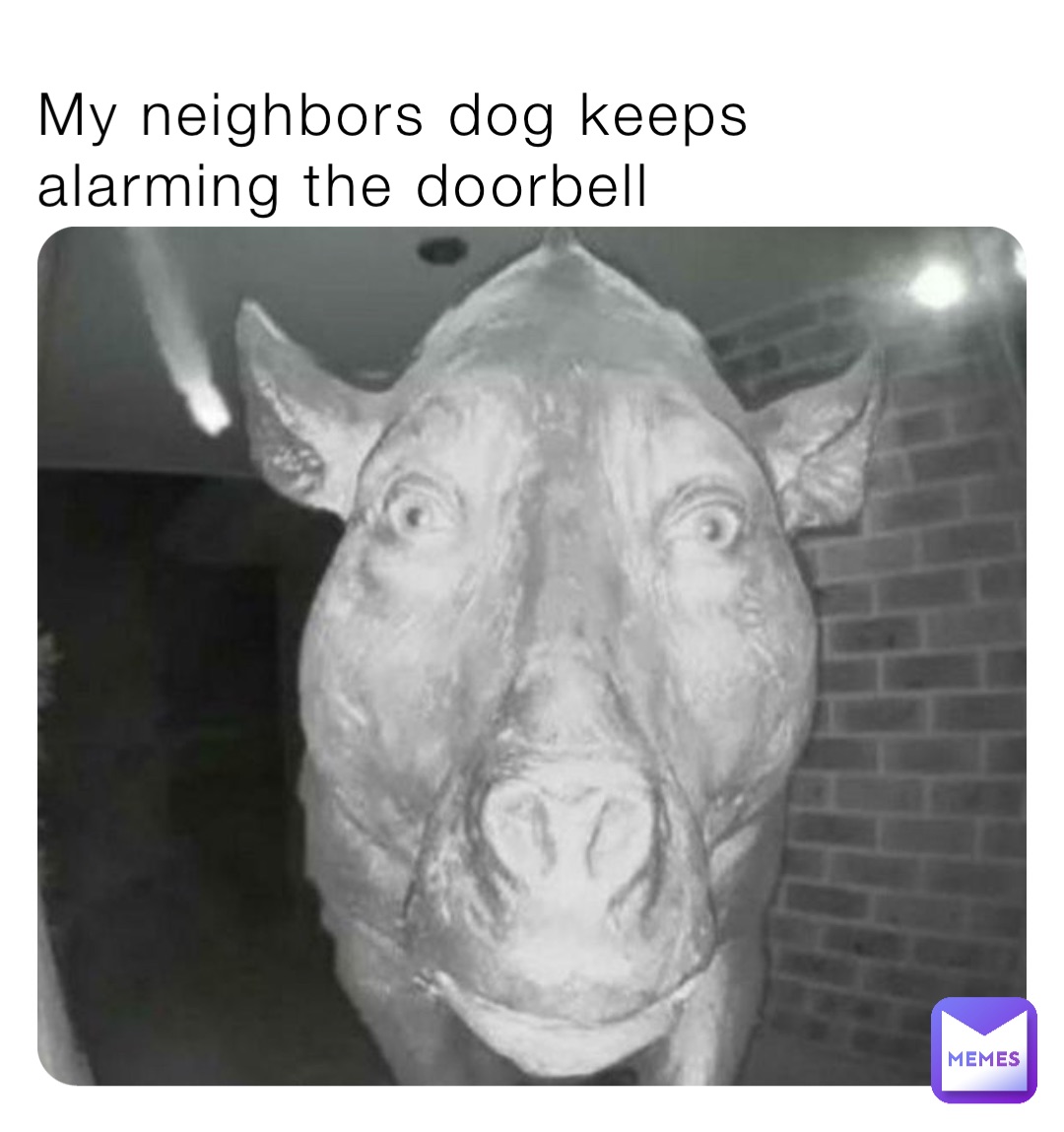 My neighbors dog keeps alarming the doorbell