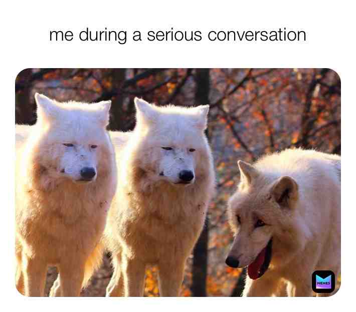 Meme shared by @imakememes337
