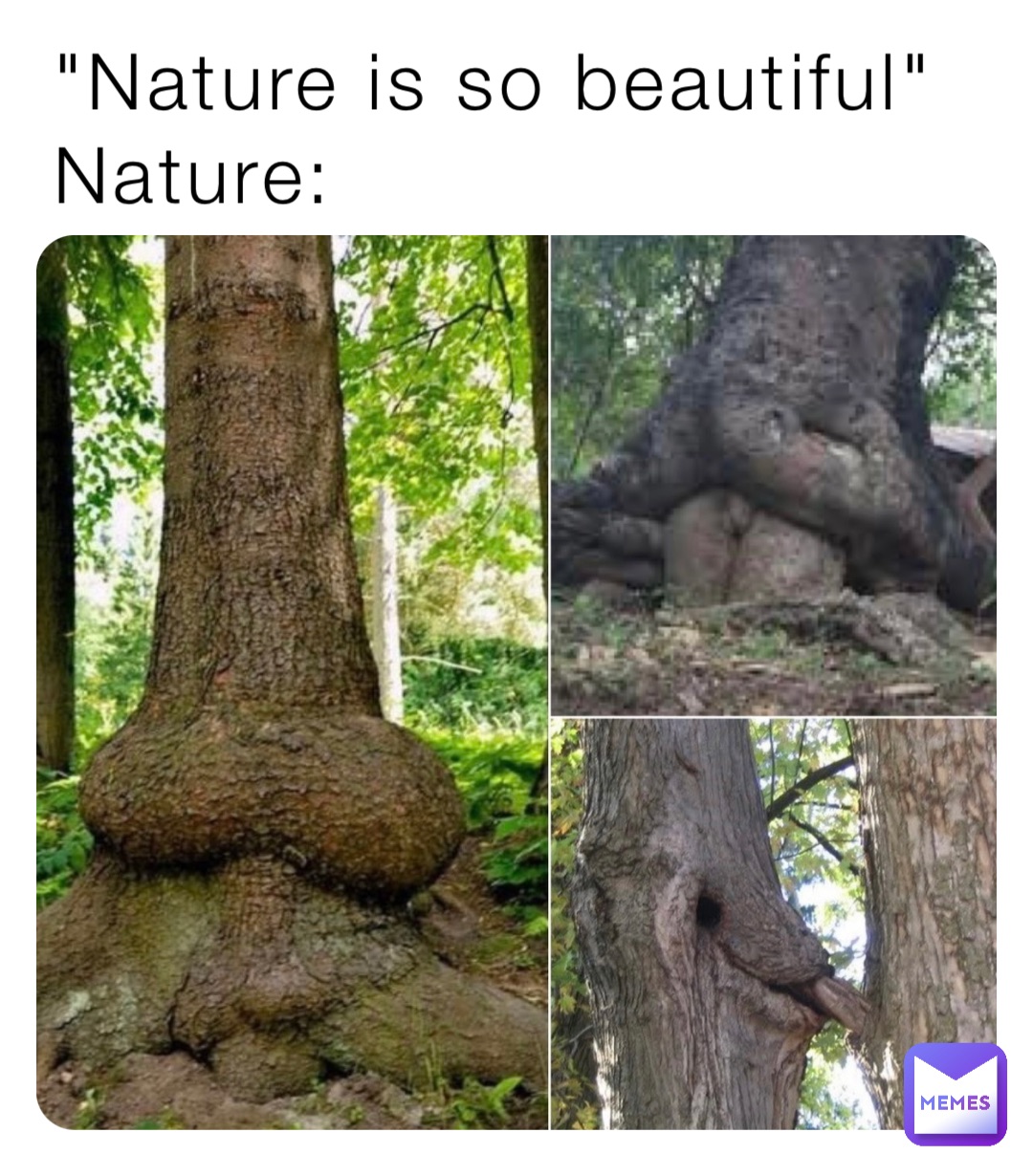 "Nature is so beautiful"
Nature: