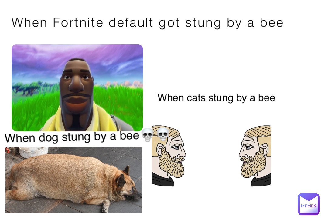 When Fortnite default got stung by a bee When cats stung by a bee When dog stung by a bee💀💀
