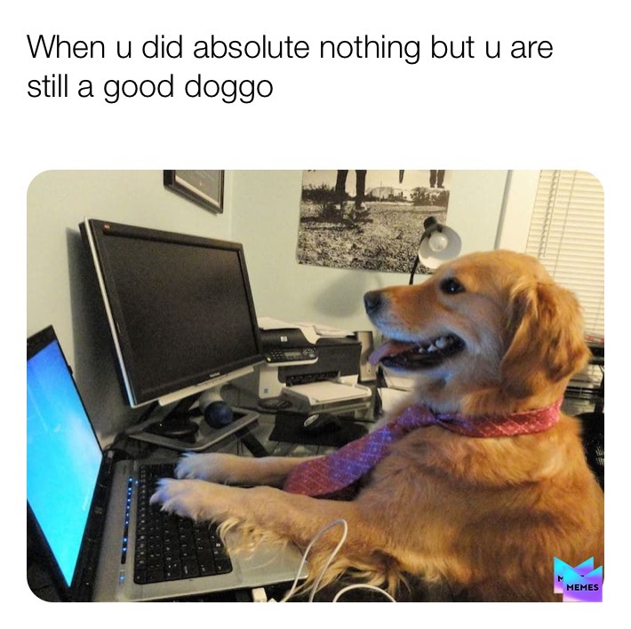 Meme by The_Dope_Meme_Dealer