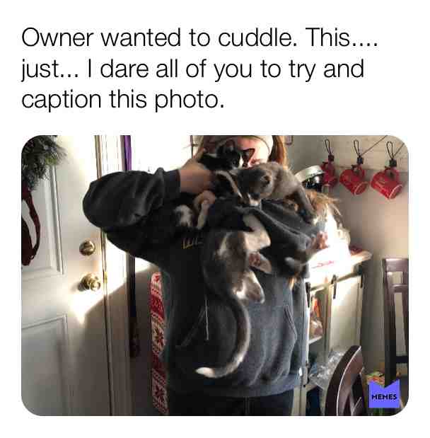 Meme shared by @dankest_meme_cat