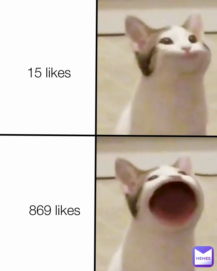 869 likes 15 likes