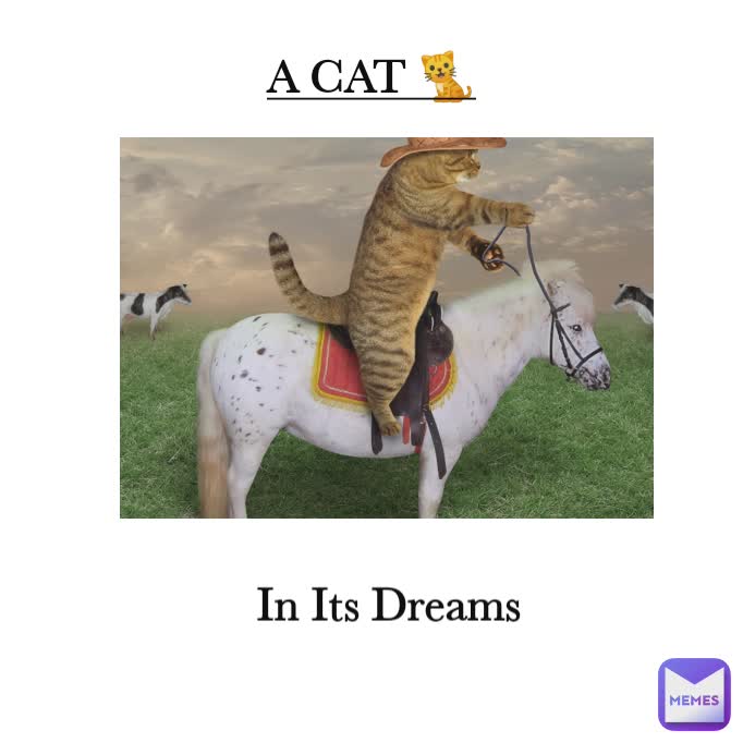 A CAT 🐈 In Its Dreams