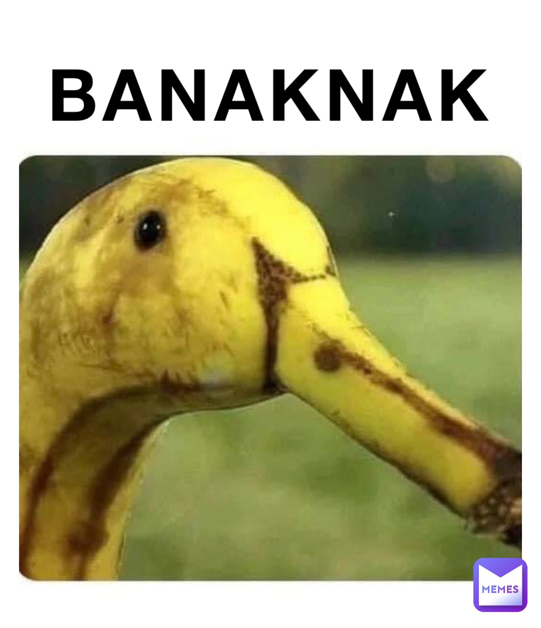 BANAKNAK
