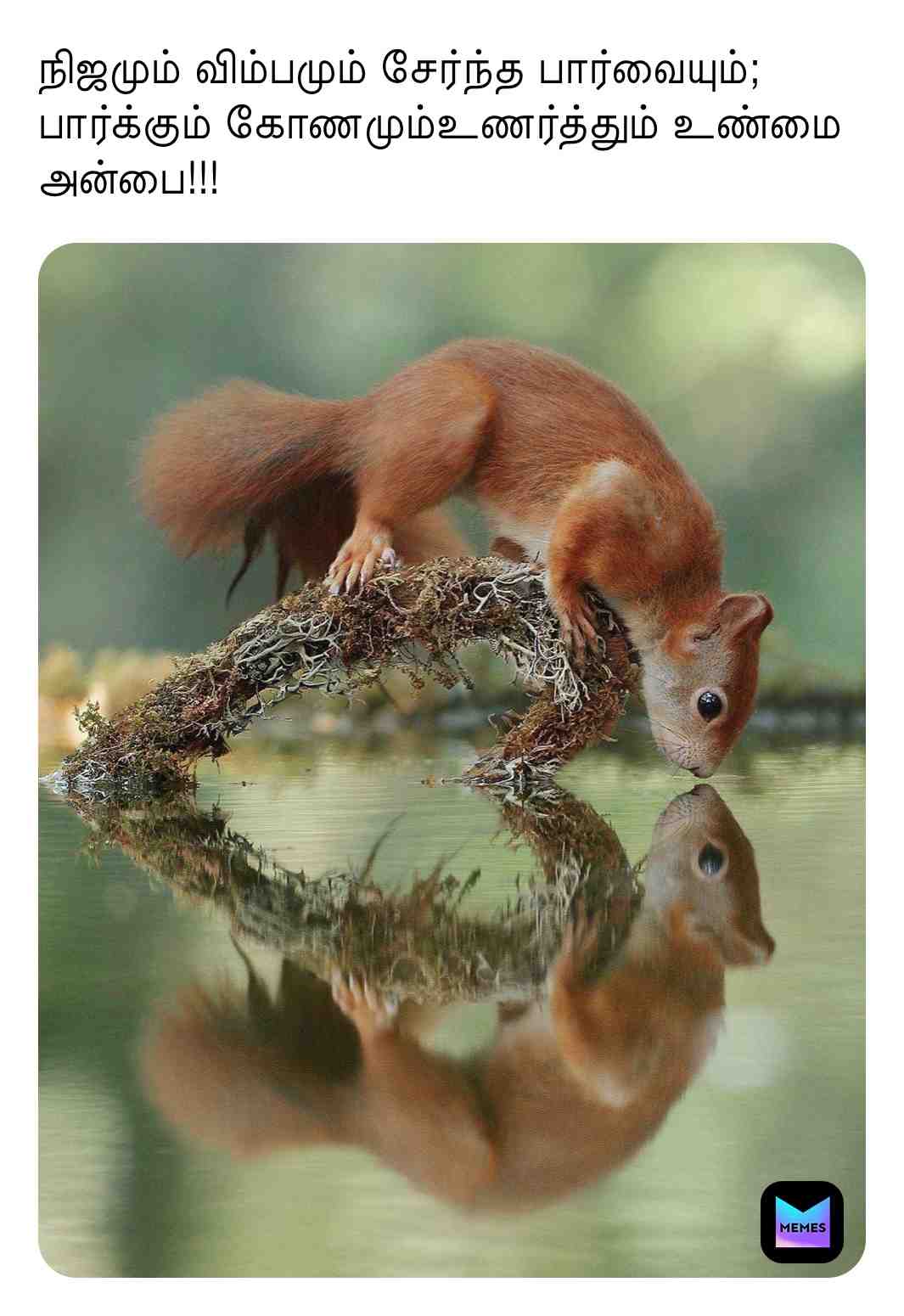 Meme shared by @Sundu_memes