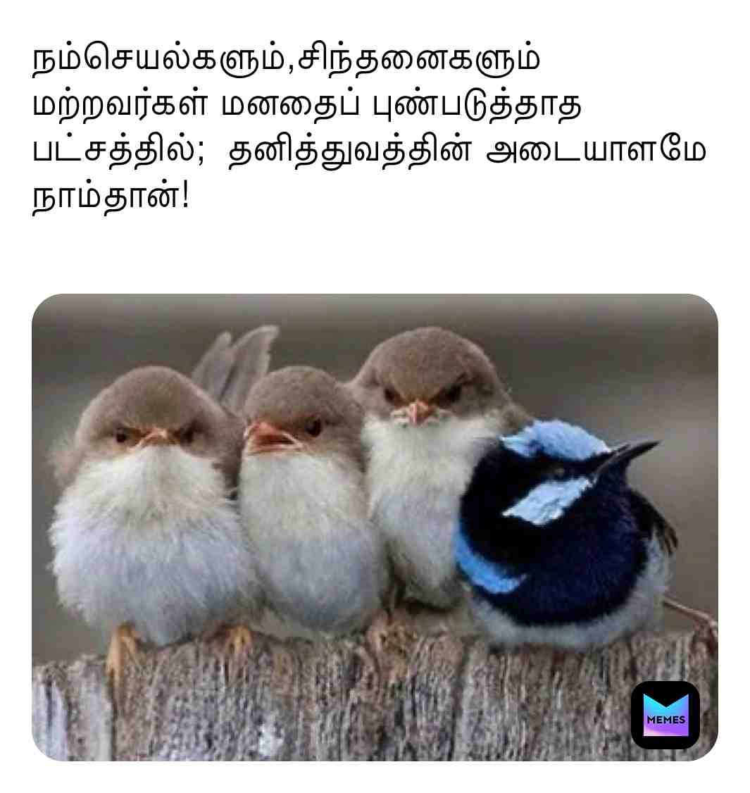 #memestagram  #tamil
