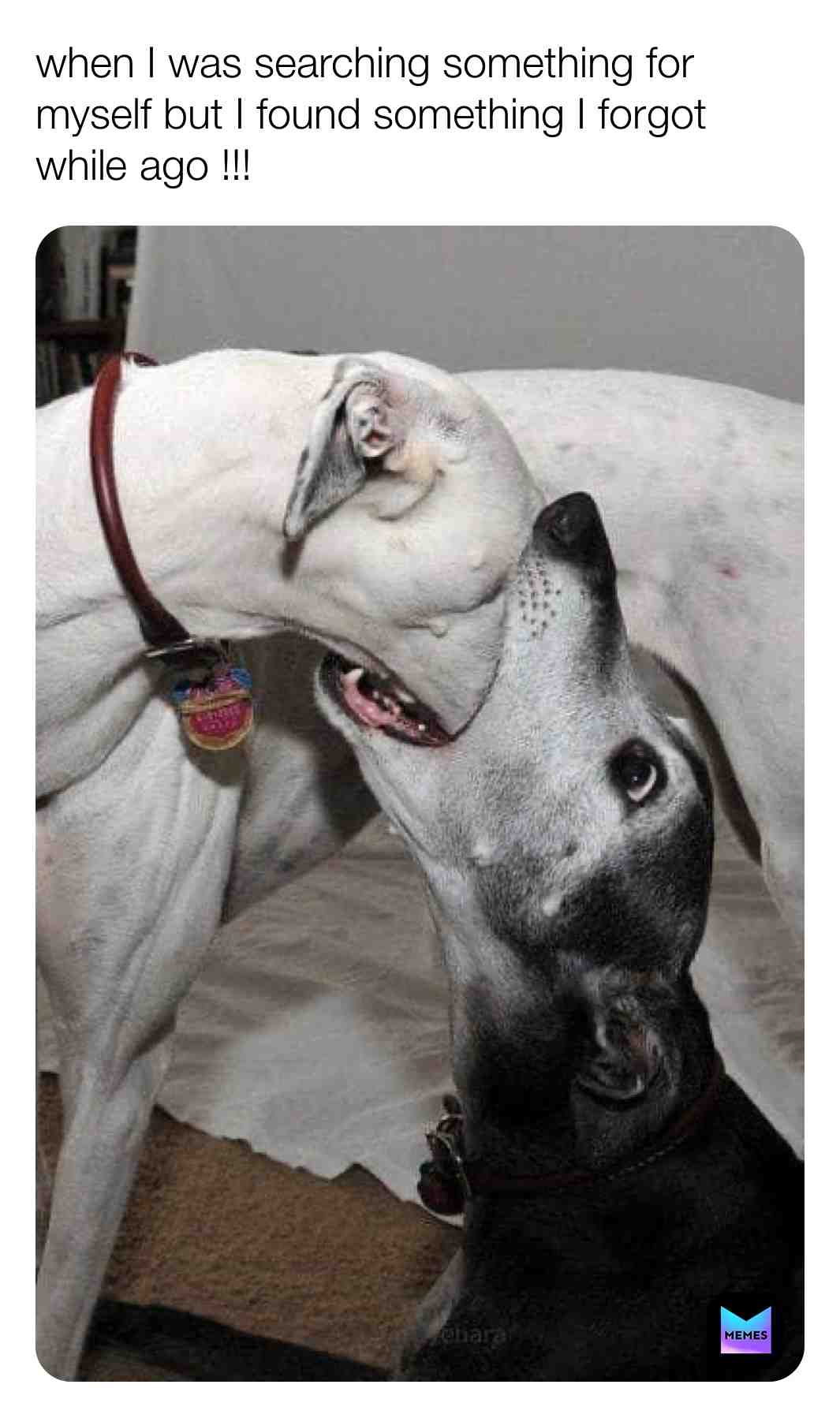 #memestagram  #memeschallenge  #memepage