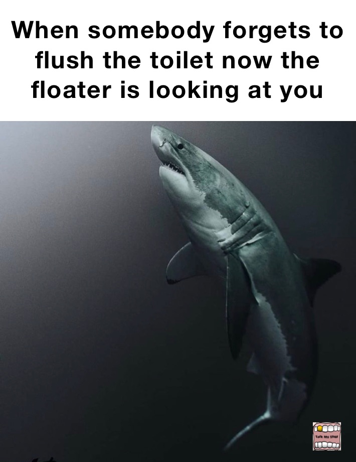 When somebody forgets to flush the toilet now the floater is looking at you