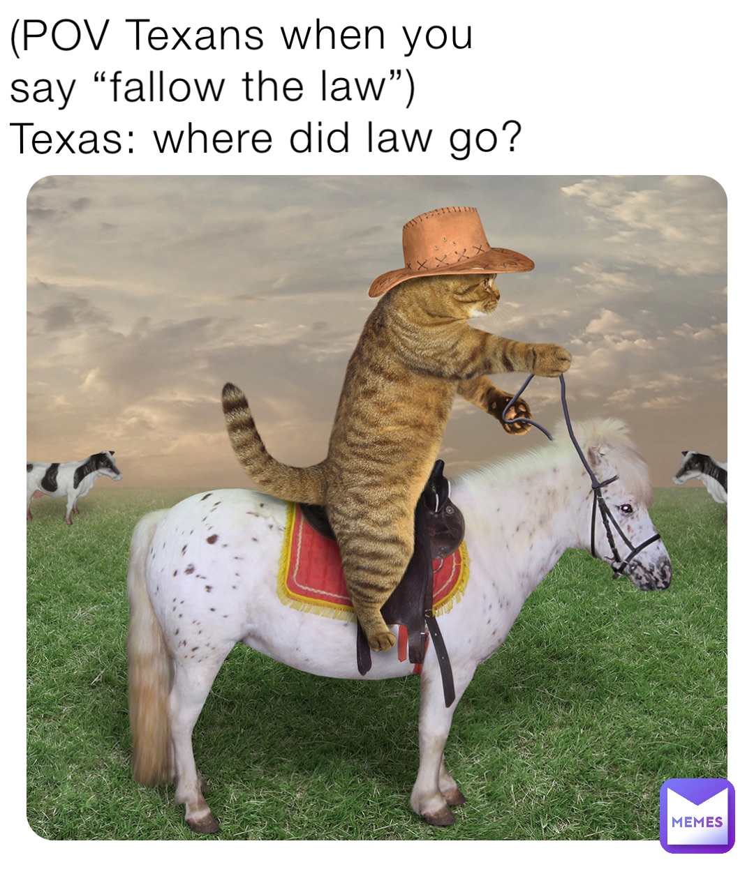 (POV Texans when you say “fallow the law”)
Texas: where did law go?