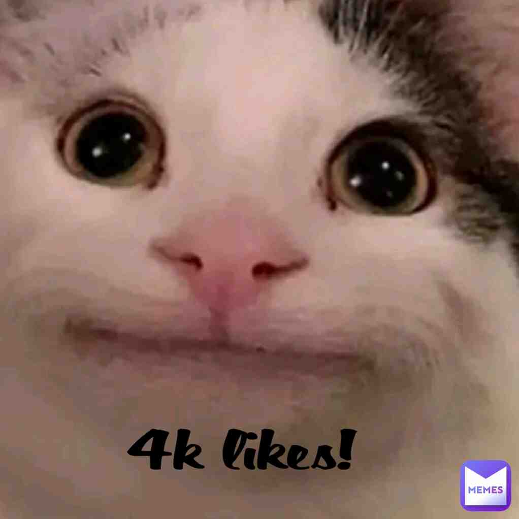 Meme shared by @GooseMan27