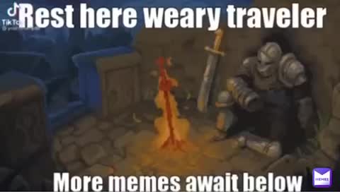 Meme shared by @GooseMan27