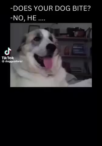 Meme shared by @GooseMan27