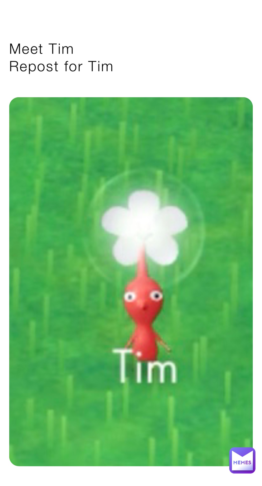 Meet Tim 
Repost for Tim