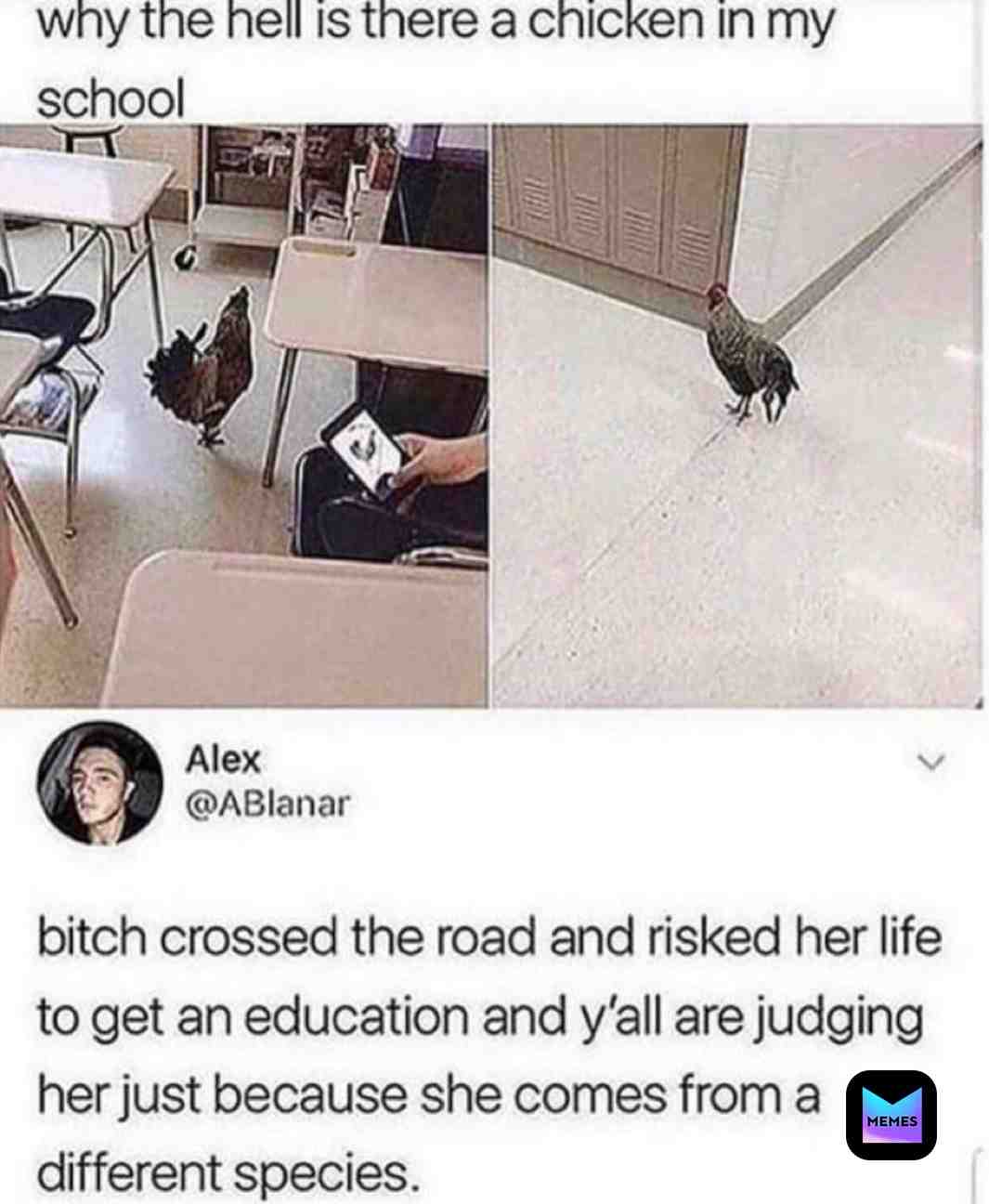 Meme shared by @Why.